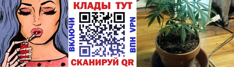 Купить наркоту Камешково Cocaine  A PVP  ГАШ  Канабис  Меф 