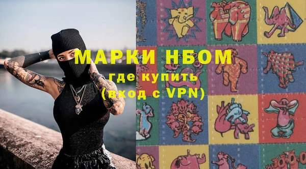 spice Богородицк