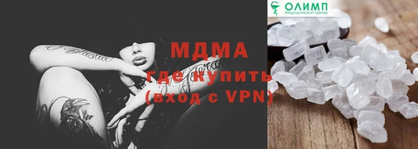 spice Богородицк