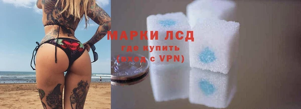 spice Богородицк