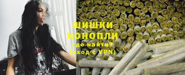 spice Богородицк