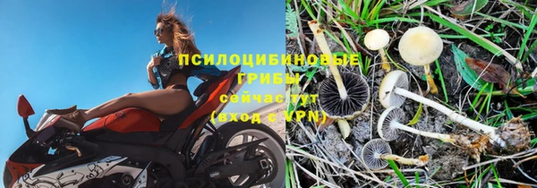 spice Богородицк