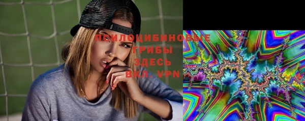не бодяженный Богданович