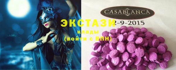 spice Богородицк