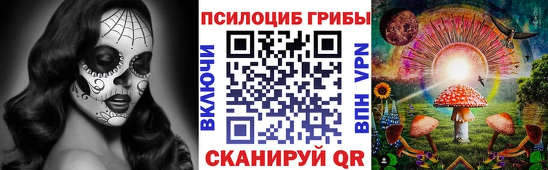 наркота  Камешково  Галлюциногенные грибы GOLDEN TEACHER 