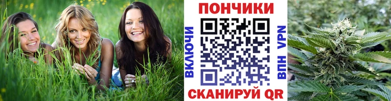 Марихуана SATIVA & INDICA купить наркоту Камешково